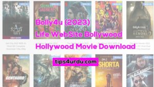 Bolly4u (2023) Life Web Site Bollywood Hollywood Movie Download